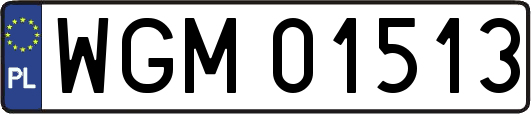 WGM01513