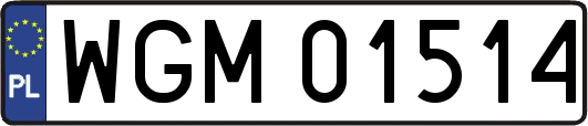 WGM01514