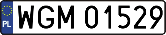 WGM01529
