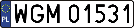 WGM01531