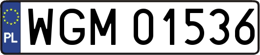 WGM01536