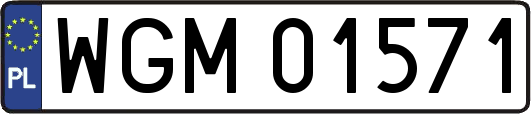 WGM01571