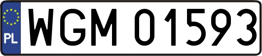 WGM01593