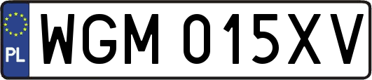 WGM015XV