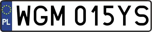 WGM015YS