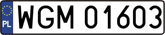 WGM01603