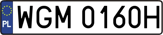 WGM0160H