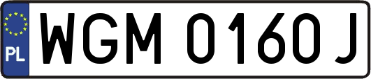 WGM0160J