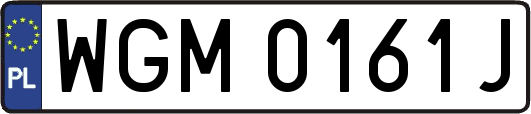 WGM0161J
