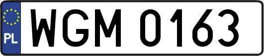 WGM0163