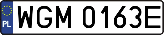 WGM0163E