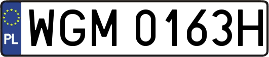 WGM0163H