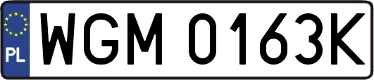 WGM0163K
