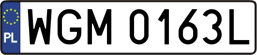 WGM0163L