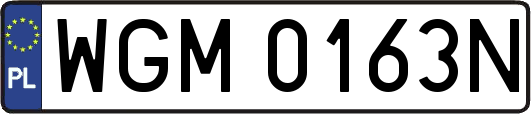 WGM0163N