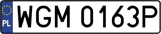 WGM0163P