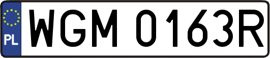 WGM0163R