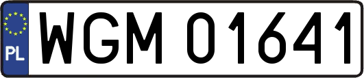 WGM01641