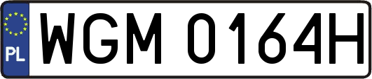 WGM0164H