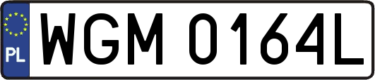 WGM0164L