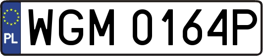 WGM0164P