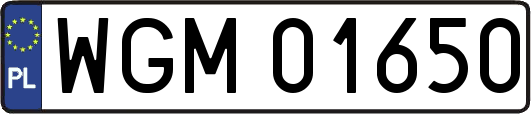 WGM01650