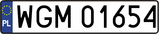 WGM01654