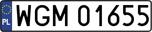 WGM01655