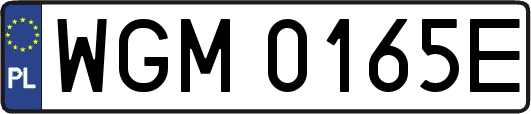 WGM0165E