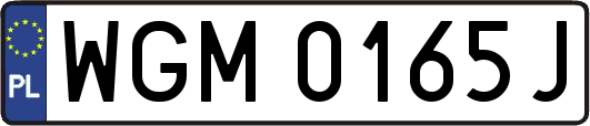 WGM0165J