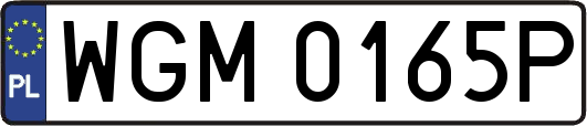 WGM0165P