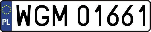 WGM01661