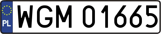 WGM01665
