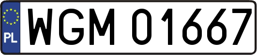 WGM01667