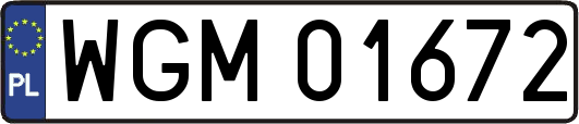 WGM01672