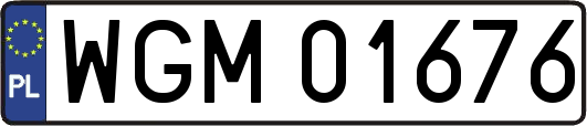 WGM01676