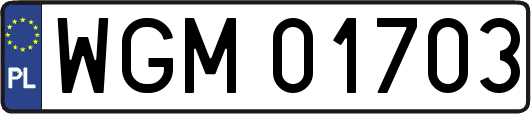 WGM01703