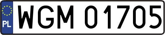 WGM01705