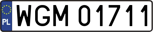 WGM01711