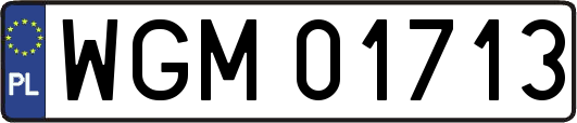 WGM01713