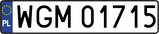 WGM01715
