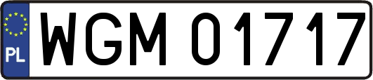 WGM01717