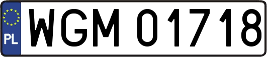 WGM01718