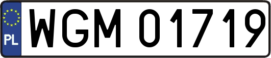 WGM01719