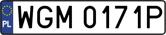 WGM0171P