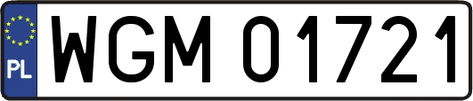 WGM01721