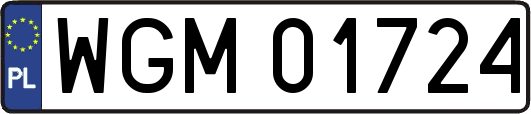 WGM01724