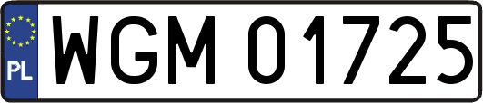 WGM01725