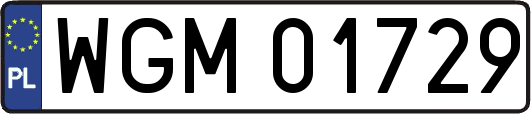 WGM01729