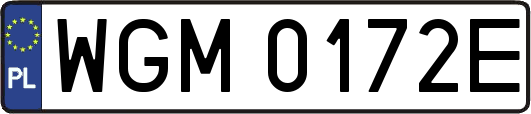 WGM0172E